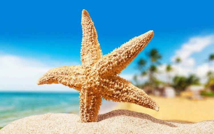 אודסה Sea Star Apartments מראה חיצוני תמונה